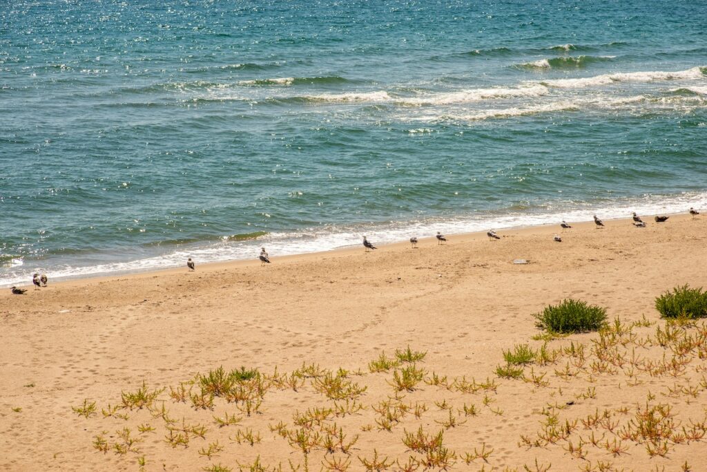 Które plaże nad morzem Bałtyckim warto odwiedzić?