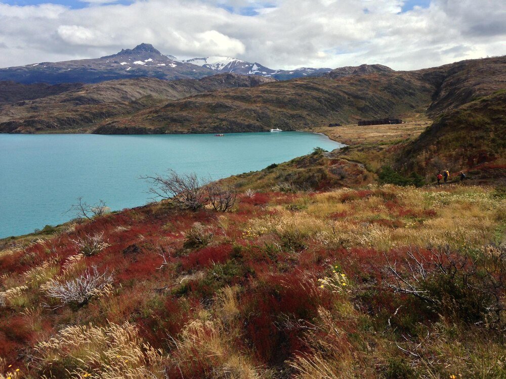 Atrakcje Patagonii: Co kryje południe Argentyny i Chile?