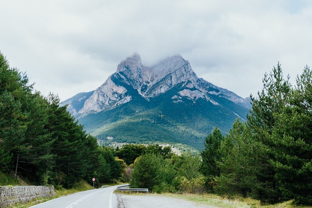 Plan wycieczki do Doliny Chochołowskiej: kamery na żywo, parking i cennik